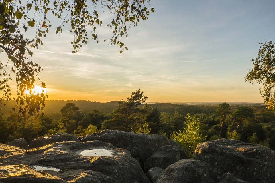 foret de fontainebleau les gites de l'atelier