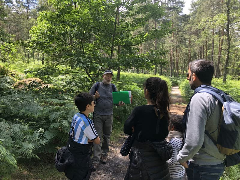 VISITE GUIDEE FORET DE FONTAINEBLEAU